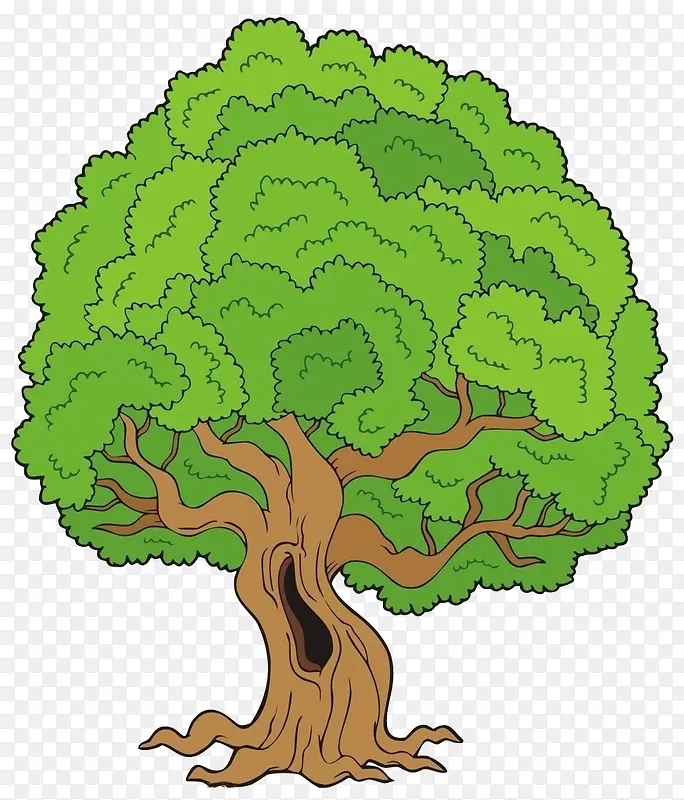 ��ɫ��-������