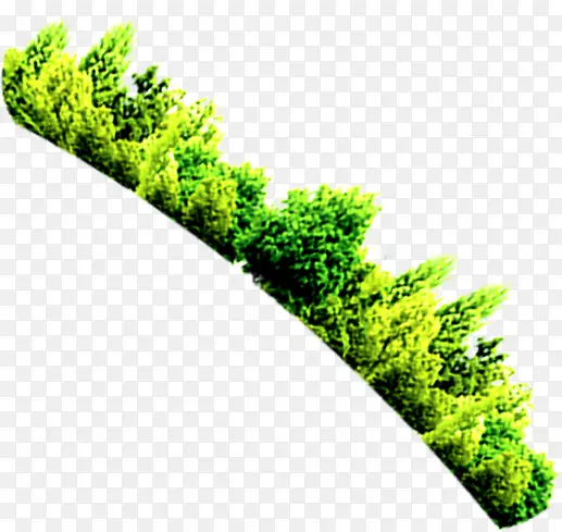 ��Ӱ������ɫ����ɭ��-������