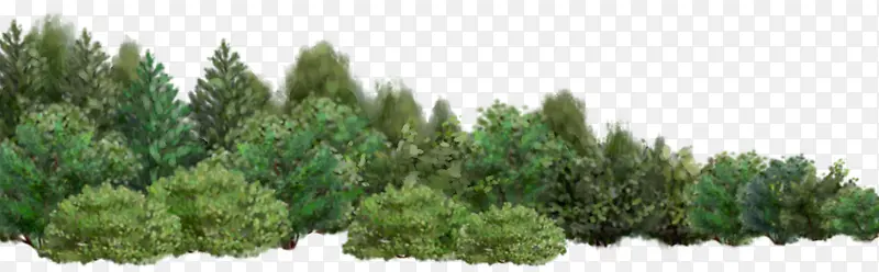 ��ɫ�羰��������Ӱ����-������