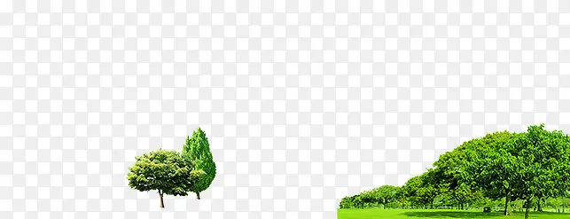 ������ɫ��������-������