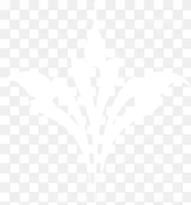 ŷʽ���ƻ����ز�-������