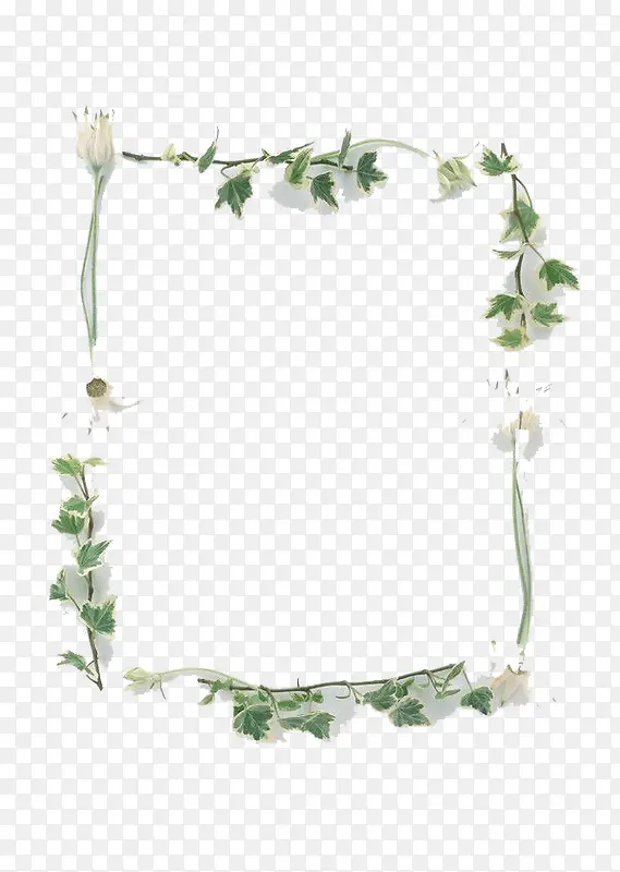 ˮ�ʻ���-������