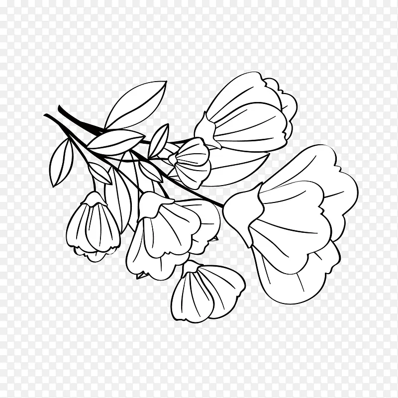 ���Ʊ߿�-������