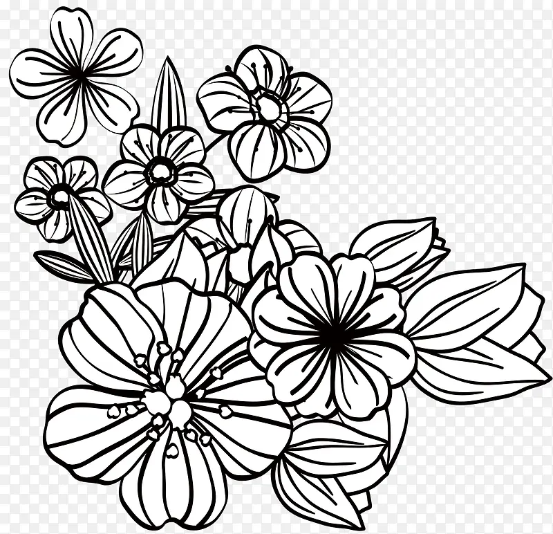 �Գƻ���-������