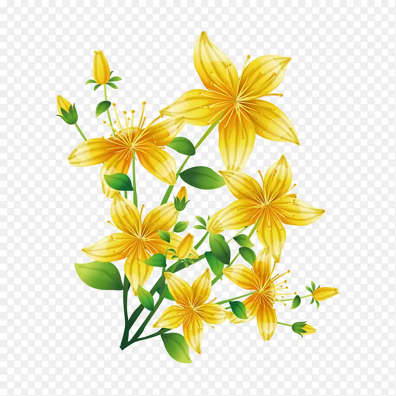 �Գƻ���-������