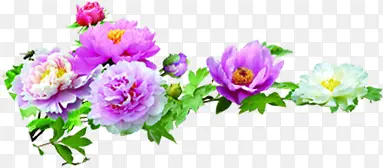 ������Ӱ��ҶЧ��-������