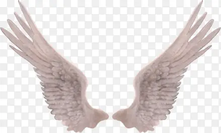 ������ɫ���PNG͸�������ز�-������