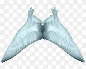 ��ɫ��ʹ���PNG͸�������ز�-������