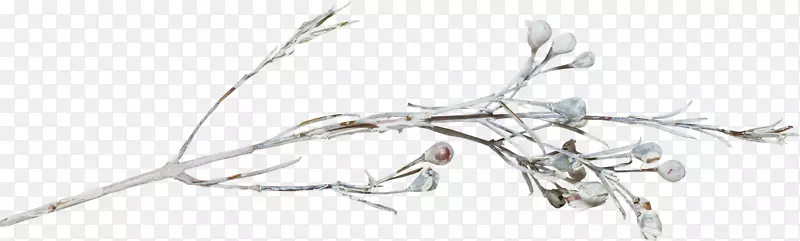 ��֦ѩ��֦ѩ��-������