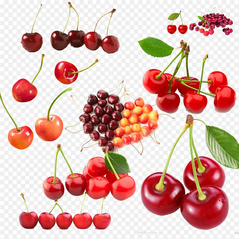 ˮ��-������