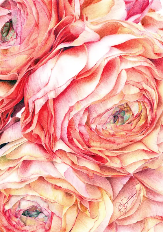 �ֻ��ɫõ��廭-������