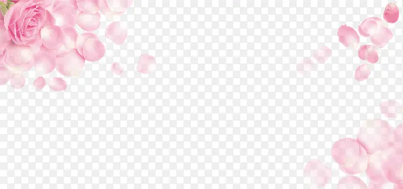 ��ɫõ��-������