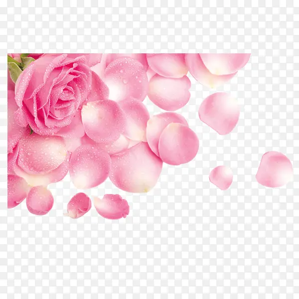 õ��-������