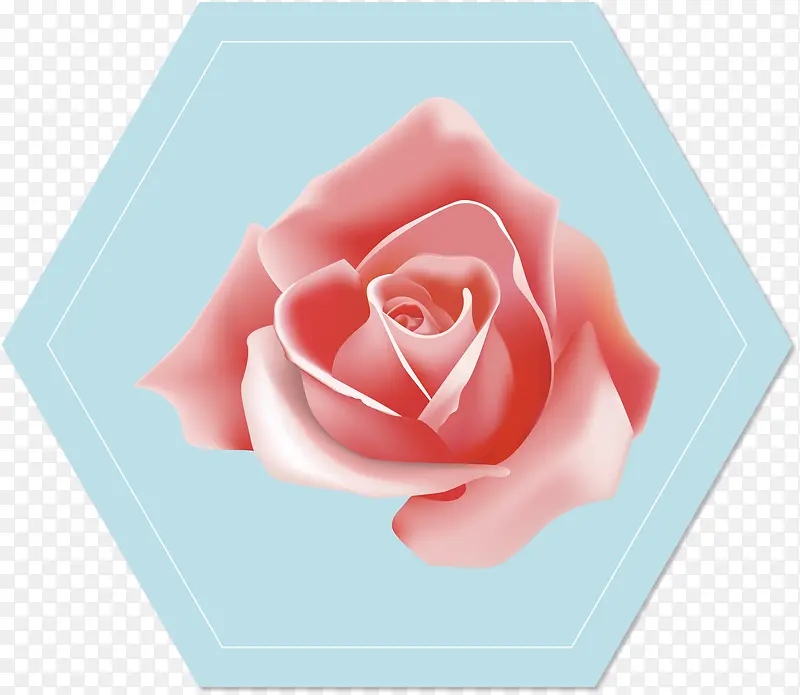 õ��-������