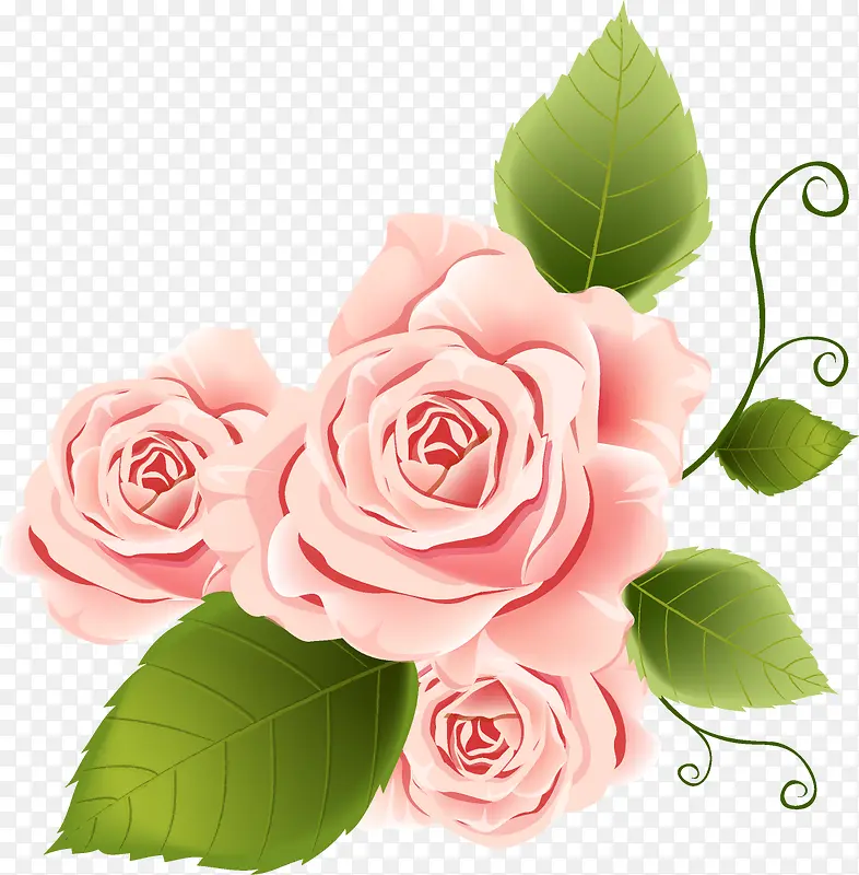 ��ɫõ��廭����-������