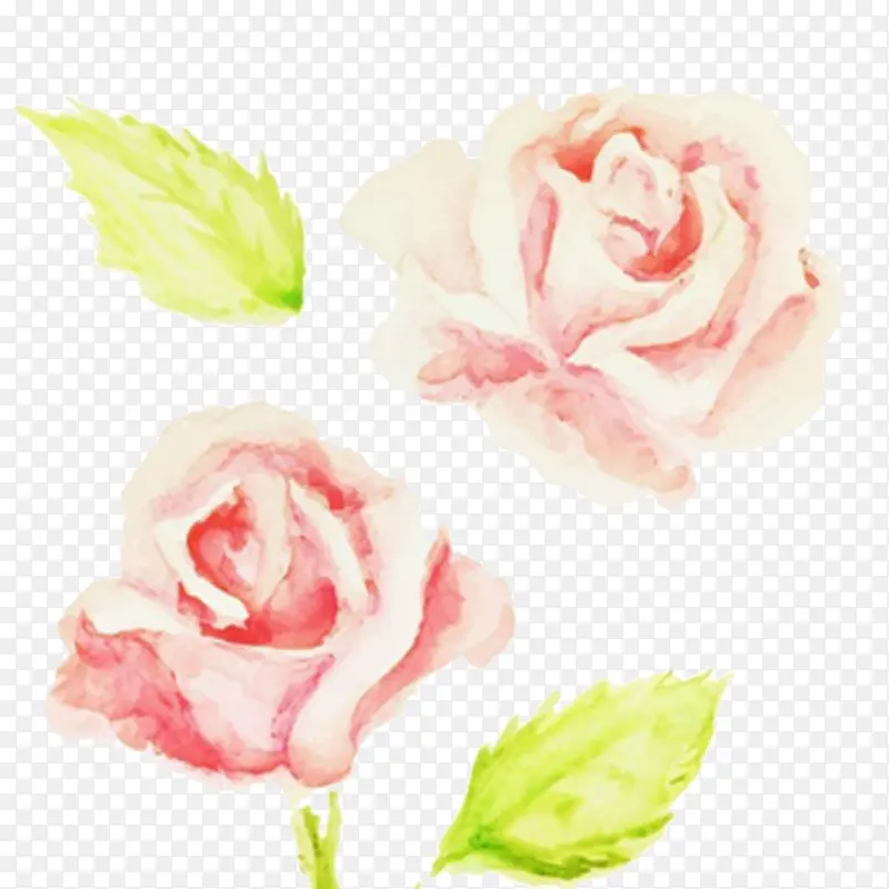 ˮ��õ��-������