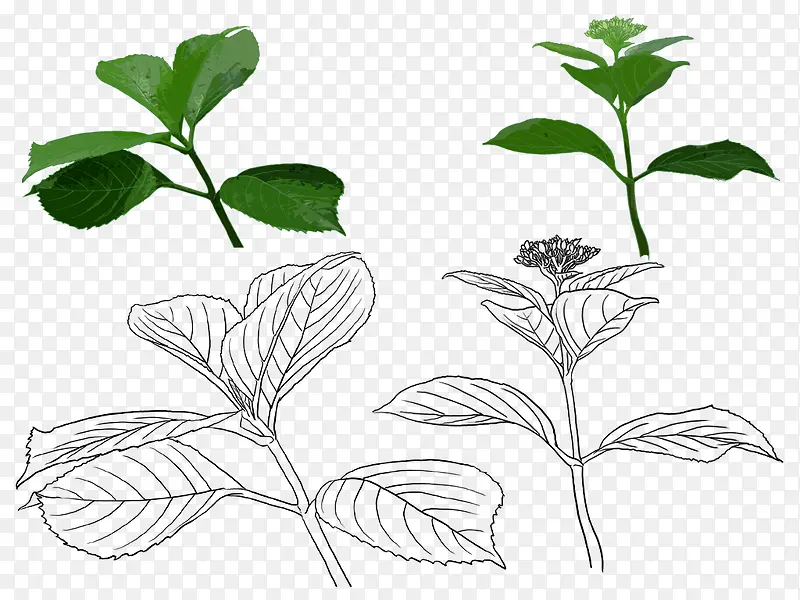 �ֻ污��-������