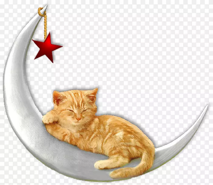 Friendster����hi5-��roissant-������