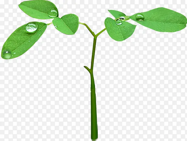 ������Ӱˮ��С����-������