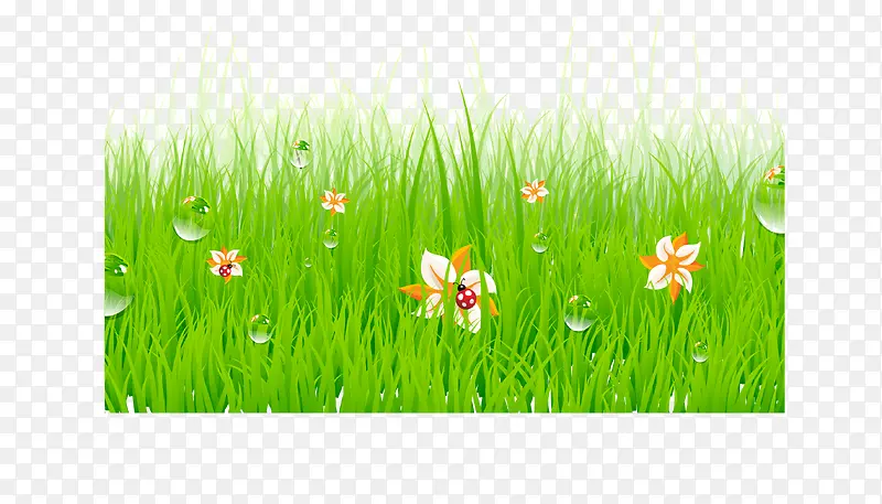 ʸ��ˮ���̲�-������