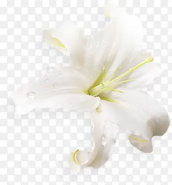 ˮ���ɫ�ٺϻ�����-������