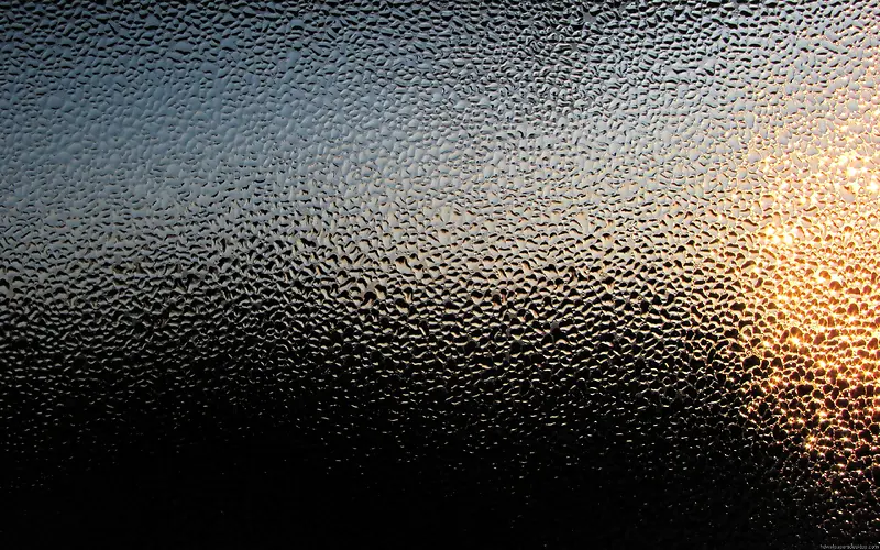 ����ˮ��Ĳ�����������-������