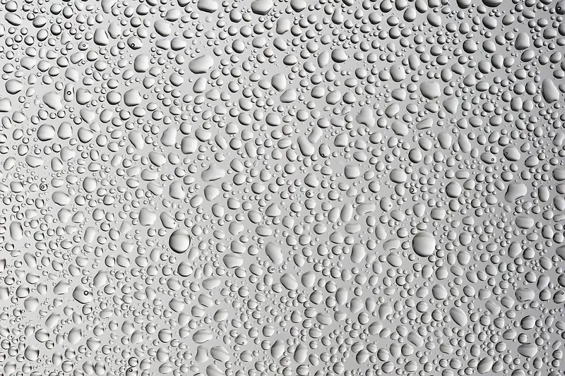 ¶�鱳������-������