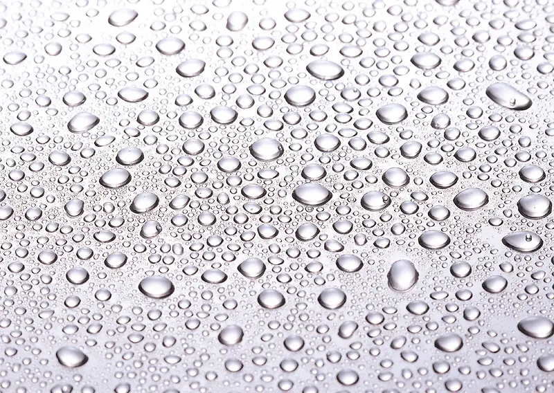 ¶�鱳��-������