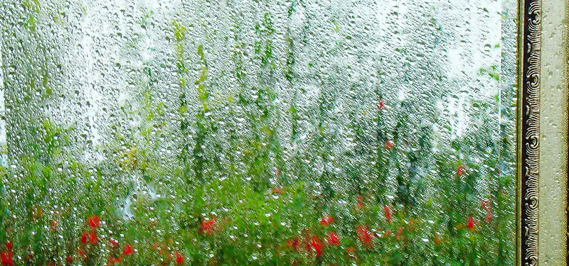 ����ˮ�鱳��-������