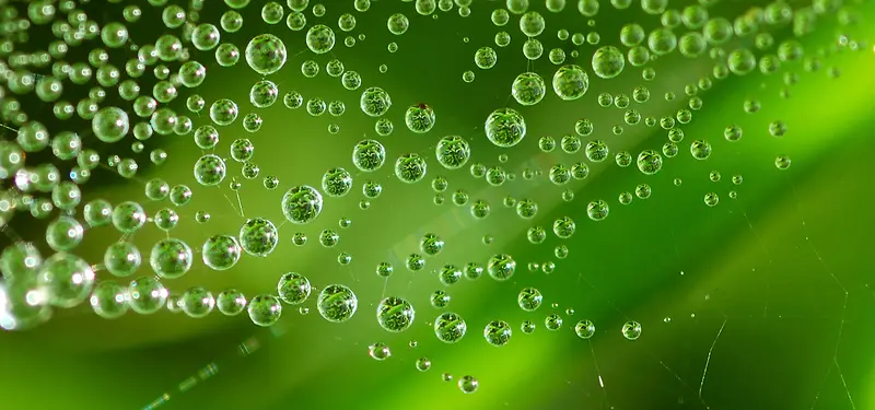 ˮ����Ӱ����-������