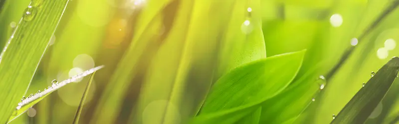 ����ˮ�鱳��banner-������