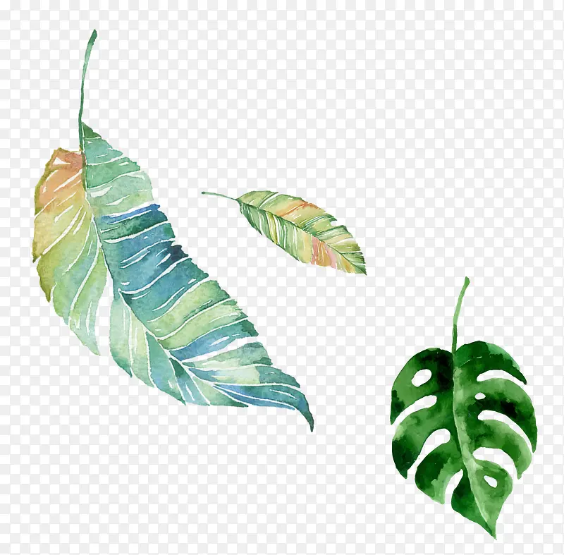 �ֻ���Ҷ-������