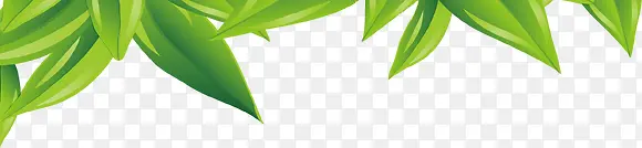 ��ɫ�Ĳ�-������