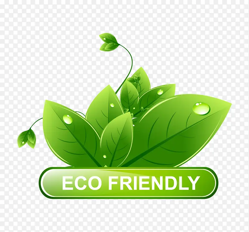 ��ɫ��Ҷ��ǩʸ��-������