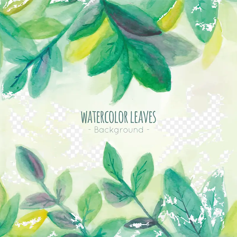 ��ɫˮ����Ҷʸ���ز�-������