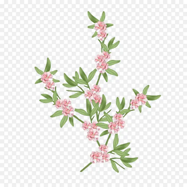 Ʈ����Ҷ-������