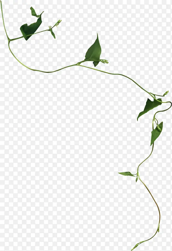 Ʈ����Ҷ-������