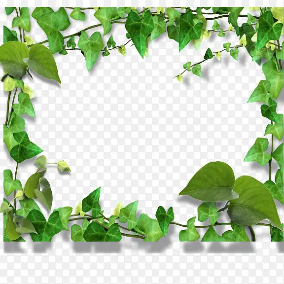 ��Ҷ�߿�-������