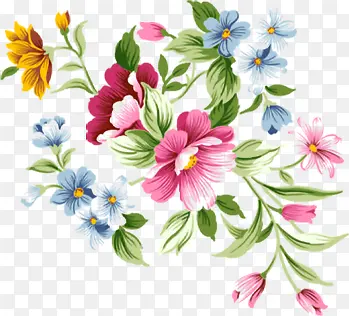 �廭��ɫֲ����Ҷ����-������