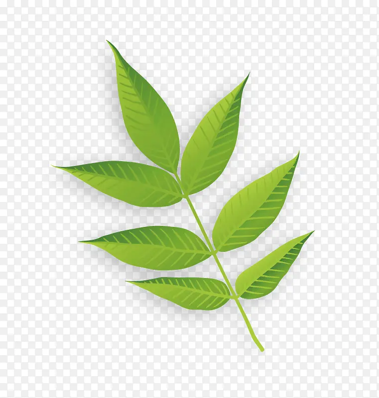 ʸ��һƬ��Ҷ-������