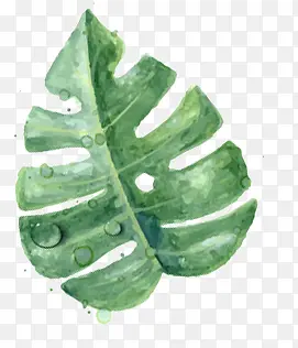 ������Ӱ�ֻ���Ҷ��ɫ-������