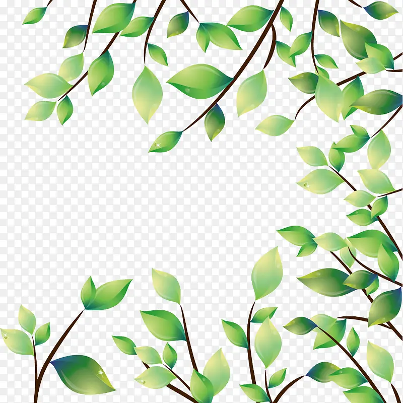 ��֦��Ҷװ���ز�-������