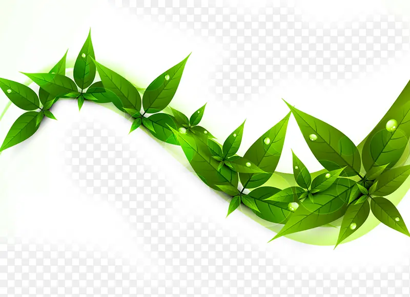 ��ɫʱ�д�����Ҷ�ֻ�-������