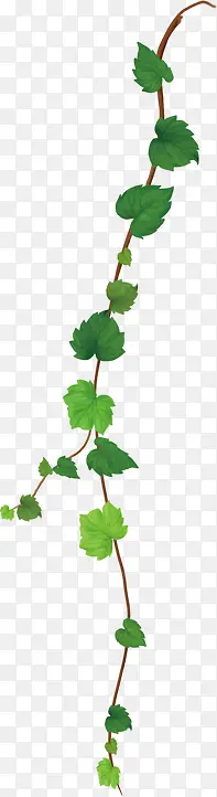 ��ɫ��ͨˮ����Ҷ-������