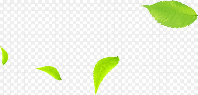 ������Ӱ��ɫ��ҶƯ��-������