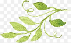 ������Ӱ�ֻ���ɫ��Ҷ-������