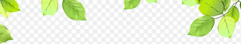 ��ɫ����ʱ����Ҷ����-������