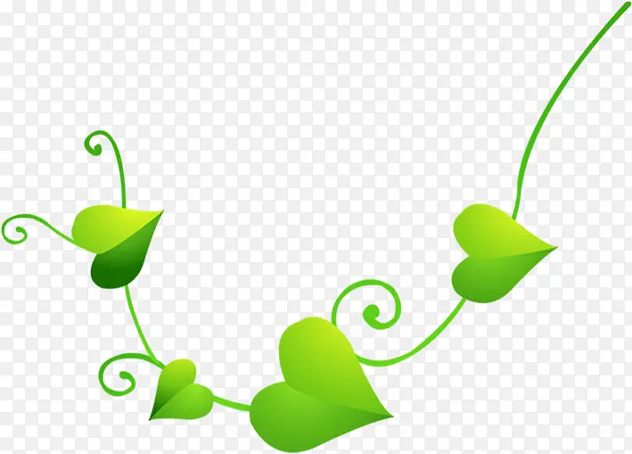 ���쿨ͨ��ɫ������Ҷ-������