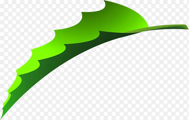 ��ɫ���쿨ͨ��Ҷʱ��-������