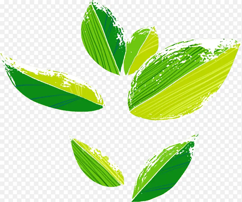 ��ɫʱ�л�����Ҷװ��-������